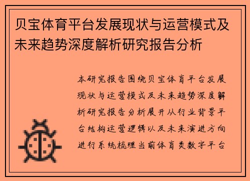 贝宝体育平台发展现状与运营模式及未来趋势深度解析研究报告分析